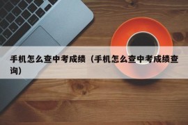 手机怎么查中考成绩（手机怎么查中考成绩查询）