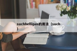 suchhellipas的用法（such）