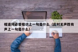 相逢何必曾相识上一句是什么（此时无声胜有声上一句是什么）