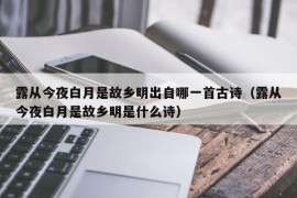 露从今夜白月是故乡明出自哪一首古诗（露从今夜白月是故乡明是什么诗）