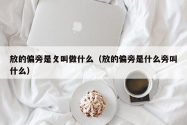 放的偏旁是攵叫做什么（放的偏旁是什么旁叫什么）