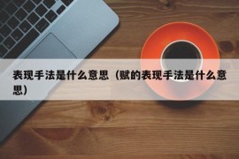 表现手法是什么意思（赋的表现手法是什么意思）