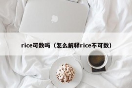 rice可数吗（怎么解释rice不可数）