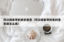 可以调素琴的素的意思（可以调素琴的素的意思调怎么读）