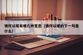 情何以堪有哪几种意思（情何以堪的下一句是什么）