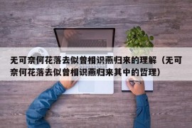 无可奈何花落去似曾相识燕归来的理解（无可奈何花落去似曾相识燕归来其中的哲理）