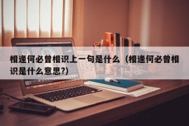 相逢何必曾相识上一句是什么（相逢何必曾相识是什么意思?）