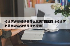 相逢何必曾相识是什么意思?初三网（相逢何必曾相识这句话是什么意思）