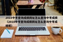 2018中考查询成绩网址怎么查询中考成绩（2018中考查询成绩网址怎么查询中考成绩呢）