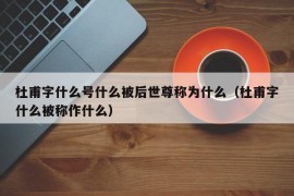 杜甫字什么号什么被后世尊称为什么（杜甫字什么被称作什么）