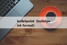 bulletpoint（bulletpoint format）