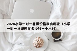 2024小学一对一补课价格表有哪些（小学一对一补课现在多少钱一个小时）