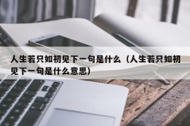 人生若只如初见下一句是什么（人生若只如初见下一句是什么意思）