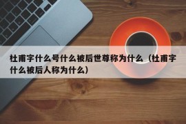 杜甫字什么号什么被后世尊称为什么（杜甫字什么被后人称为什么）