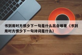 书到用时方恨少下一句是什么出自哪里（书到用时方恨少下一句诗词是什么）