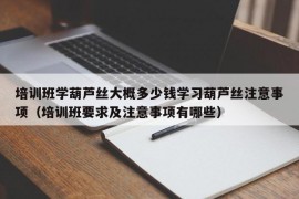 培训班学葫芦丝大概多少钱学习葫芦丝注意事项（培训班要求及注意事项有哪些）