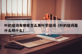 叶的组词有哪些怎么用叶字组词（叶的组词是什么呀什么）