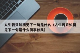 人生若只如初见下一句是什么（人生若只如初见下一句是什么何事秋风）