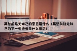 莫愁前路无知己的意思是什么（莫愁前路无知己的下一句诗句是什么意思）