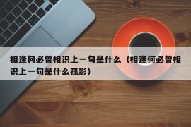 相逢何必曾相识上一句是什么（相逢何必曾相识上一句是什么孤影）