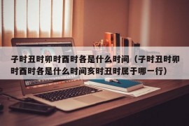 子时丑时卯时酉时各是什么时间（子时丑时卯时酉时各是什么时间亥时丑时属于哪一行）