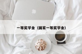 一等奖学金（国家一等奖学金）