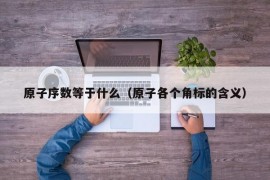 原子序数等于什么（原子各个角标的含义）