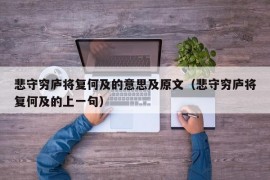 悲守穷庐将复何及的意思及原文（悲守穷庐将复何及的上一句）