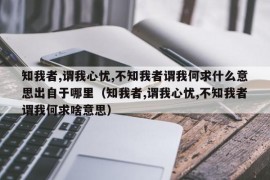 知我者,谓我心忧,不知我者谓我何求什么意思出自于哪里（知我者,谓我心忧,不知我者谓我何求啥意思）