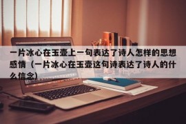 一片冰心在玉壶上一句表达了诗人怎样的思想感情（一片冰心在玉壶这句诗表达了诗人的什么信念）