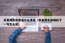 良禽择木而栖是什么意思（良禽择木而栖的下一句怎么说）