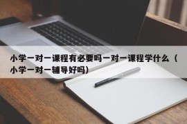 小学一对一课程有必要吗一对一课程学什么（小学一对一辅导好吗）