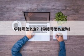 学籍号怎么查?（学籍号怎么查询）