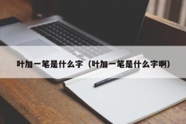 叶加一笔是什么字（叶加一笔是什么字啊）