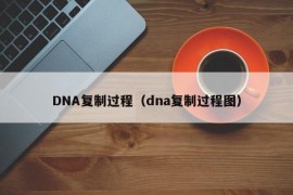 DNA复制过程（dna复制过程图）