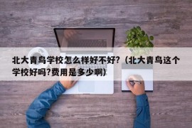 北大青鸟学校怎么样好不好?（北大青鸟这个学校好吗?费用是多少啊）