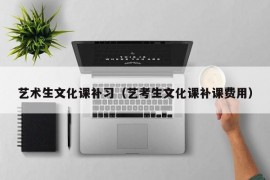 艺术生文化课补习（艺考生文化课补课费用）