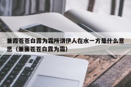 兼霞苍苍白露为霜所谓伊人在水一方是什么意思（兼蒹苍苍白露为霜）