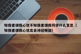 知我者谓我心忧不知我者谓我何求什么意思（知我者谓我心忧出自诗经哪部）