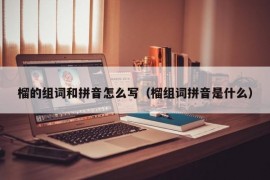 榴的组词和拼音怎么写（榴组词拼音是什么）