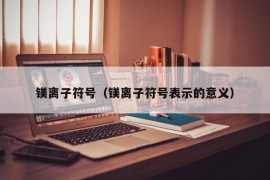 镁离子符号（镁离子符号表示的意义）