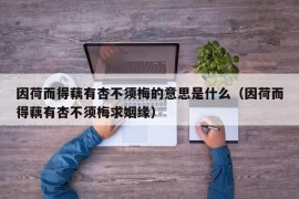 因荷而得藕有杏不须梅的意思是什么（因荷而得藕有杏不须梅求姻缘）