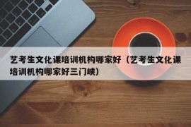 艺考生文化课培训机构哪家好（艺考生文化课培训机构哪家好三门峡）