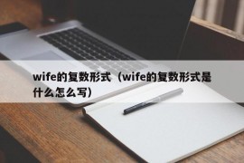 wife的复数形式（wife的复数形式是什么怎么写）