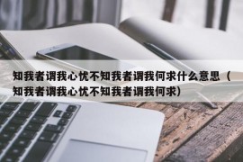 知我者谓我心忧不知我者谓我何求什么意思（知我者谓我心忧不知我者谓我何求）