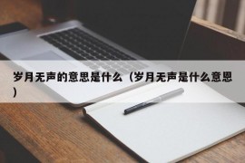 岁月无声的意思是什么（岁月无声是什么意恩）