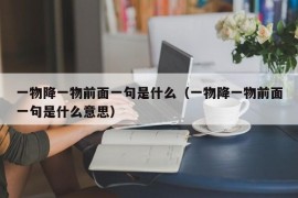 一物降一物前面一句是什么（一物降一物前面一句是什么意思）