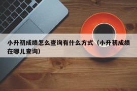 小升初成绩怎么查询有什么方式（小升初成绩在哪儿查询）