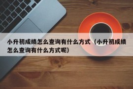 小升初成绩怎么查询有什么方式（小升初成绩怎么查询有什么方式呢）