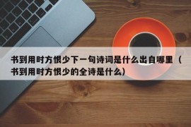 书到用时方恨少下一句诗词是什么出自哪里（书到用时方恨少的全诗是什么）